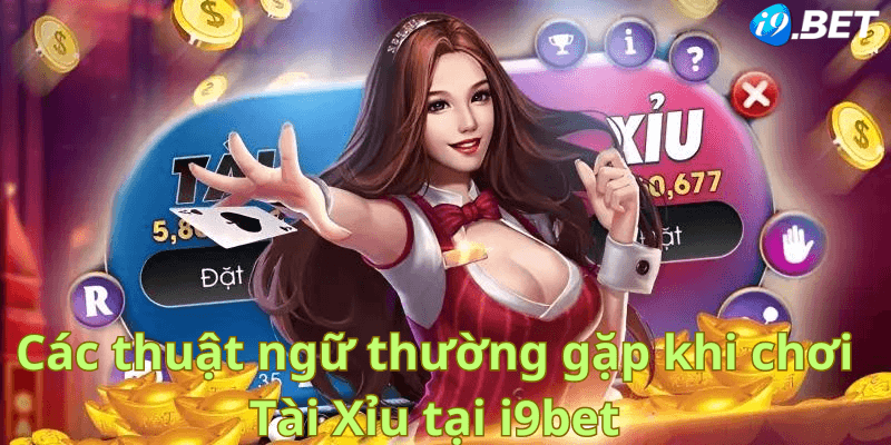 Các thuật ngữ thường gặp khi chơi Tài Xỉu tại i9bet